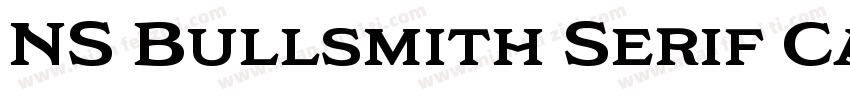 NS Bullsmith Serif Capital字体转换